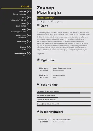 Felsefe Öğretmeni CV Örnekleri cv indir